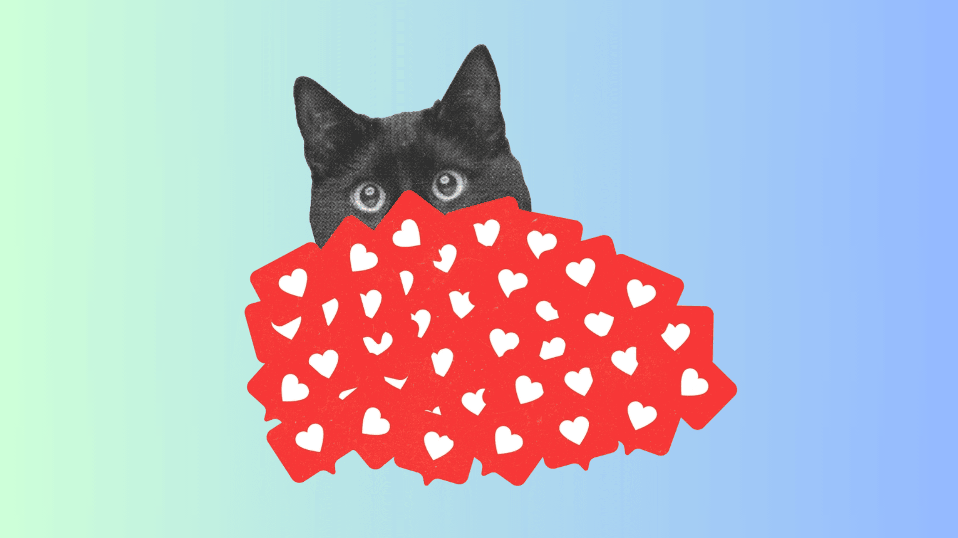 Satın Alınan Takipçi ile Algoritmada Yükselme Yöntemleri